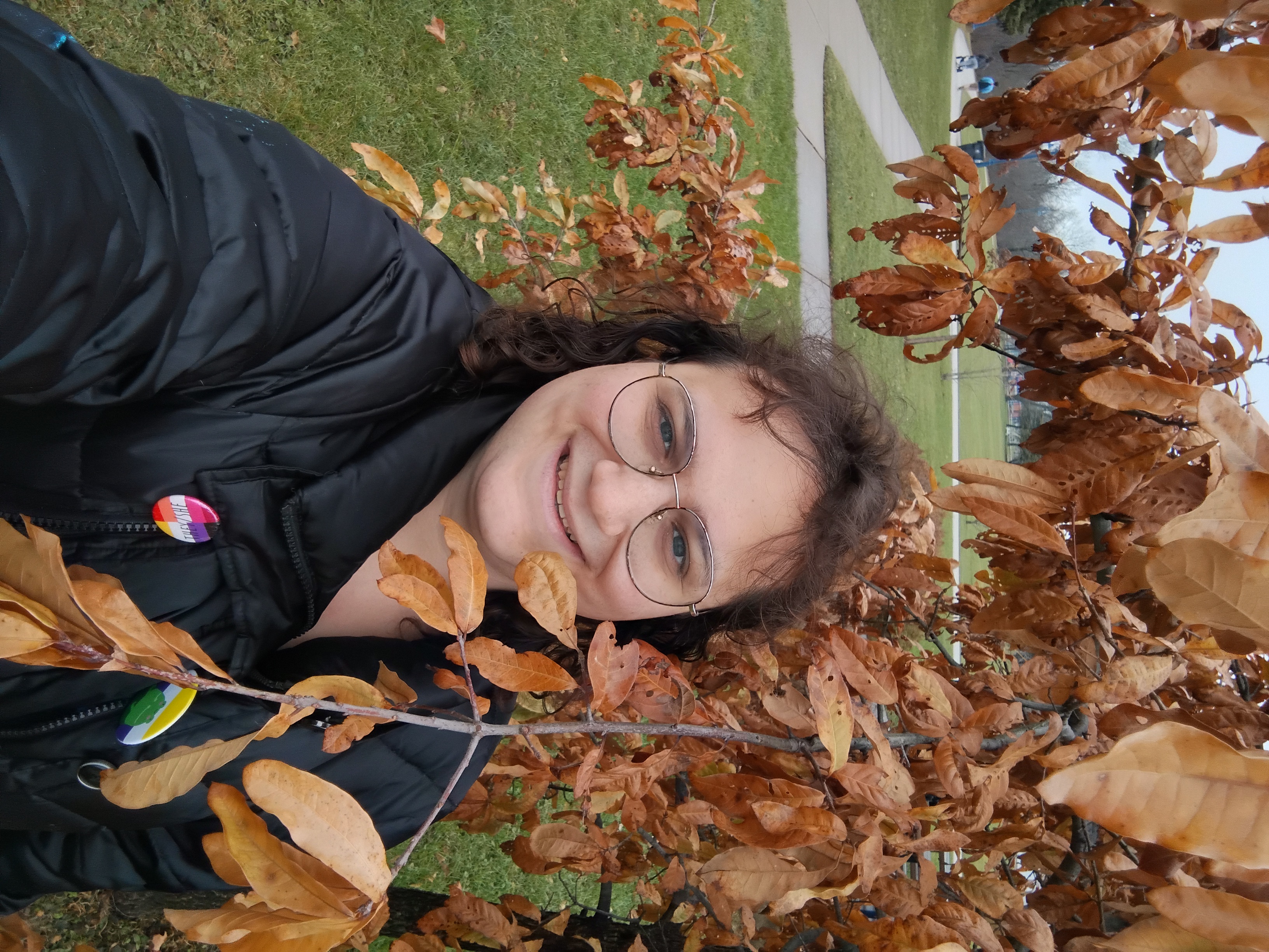 I'm among a brown-leaved tree.