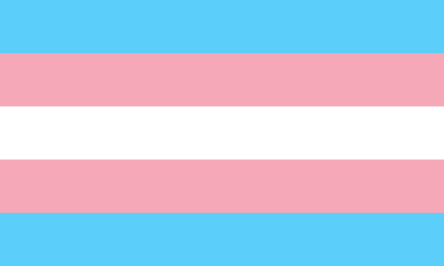 Trans flag~~! Five bars: Patel blue, pastel pink, white, pastel pink, pastel blue